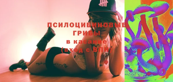 хмурый Нея