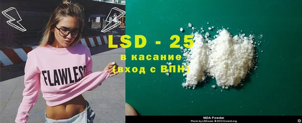 хмурый Нея
