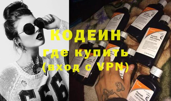 хмурый Нея