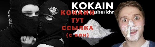 хмурый Нея
