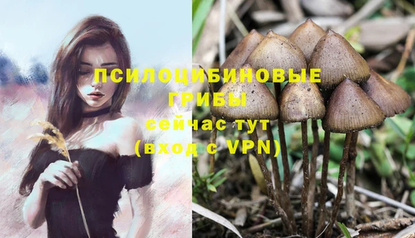 хмурый Нея