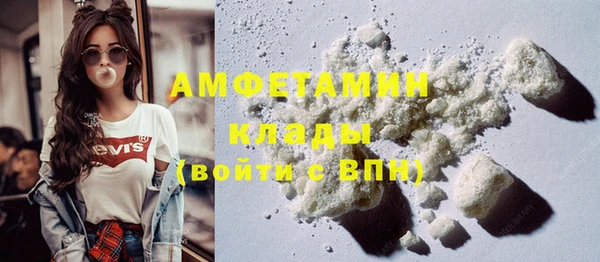 прущие грибы Нефтекумск