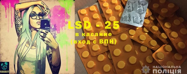 прущие грибы Нефтекумск