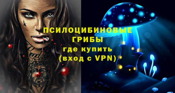 хмурый Нея