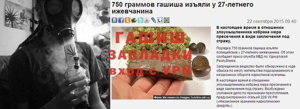 прущие грибы Нефтекумск